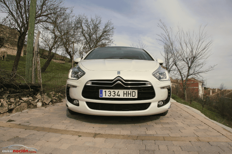 DS5 05