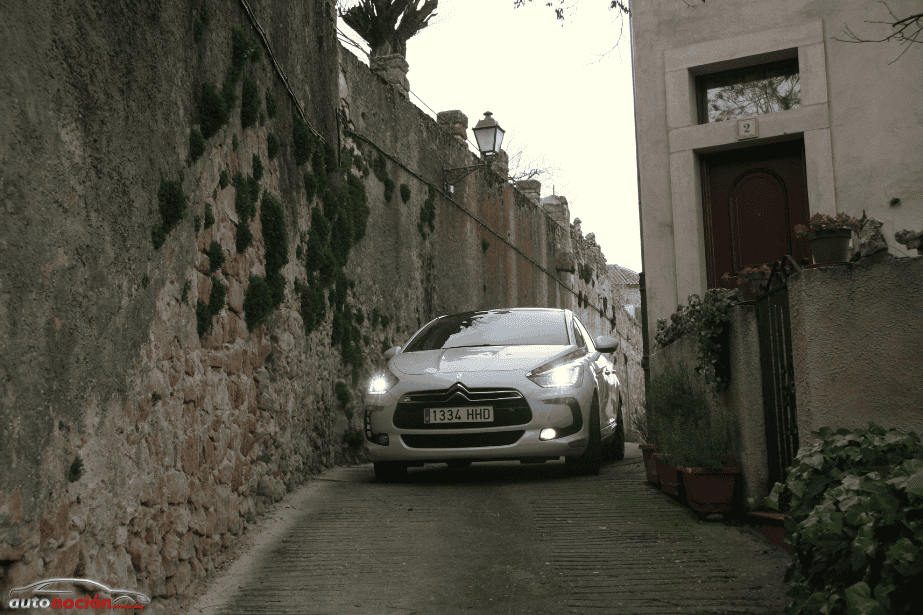 DS5 25