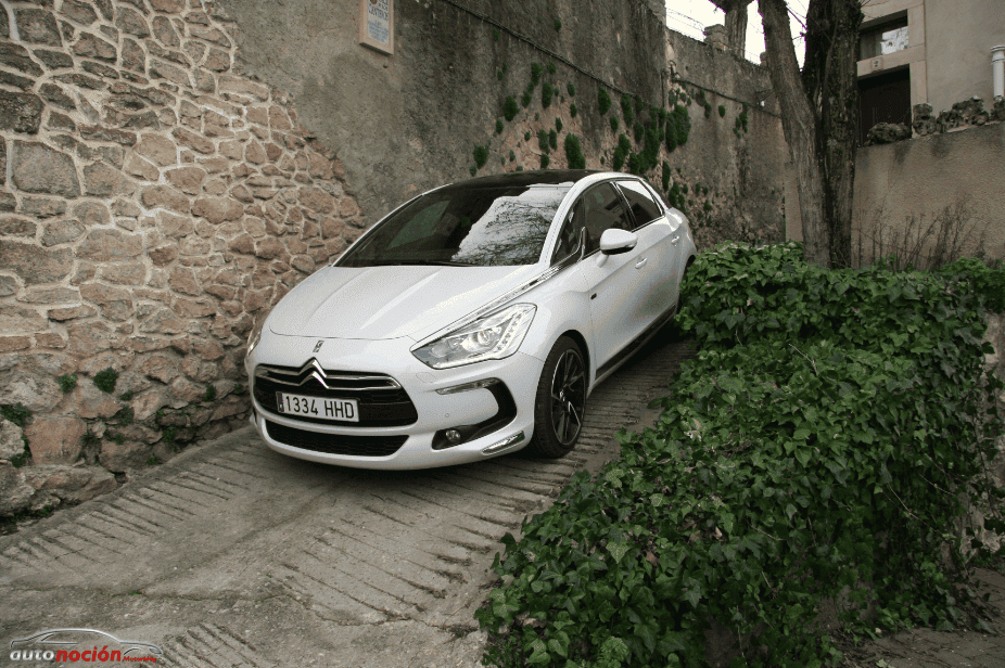 DS5 26