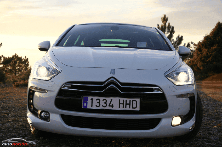 DS5 29