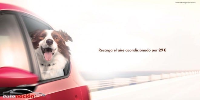 Volkswagen se altera con la primavera y ofrece a sus clientes nuevas ofertas