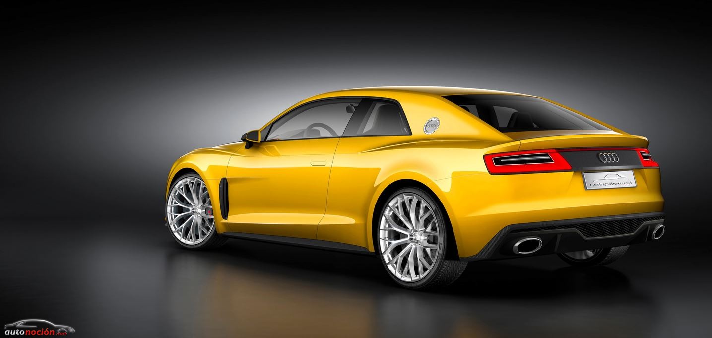 Audi Sport Quattro Concept Trasera