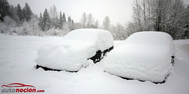 coches nieve