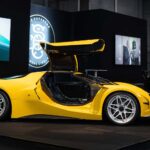 capricorn 01 zagato doors