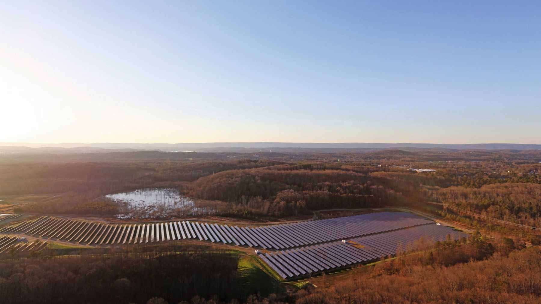 Volkswagen grazes 50 sheep under 33,600 solar panels in Tennessee instead of mowing, guards them with a rescued donkey that charges coyotes, and ruled out the cheaper goats for one reason