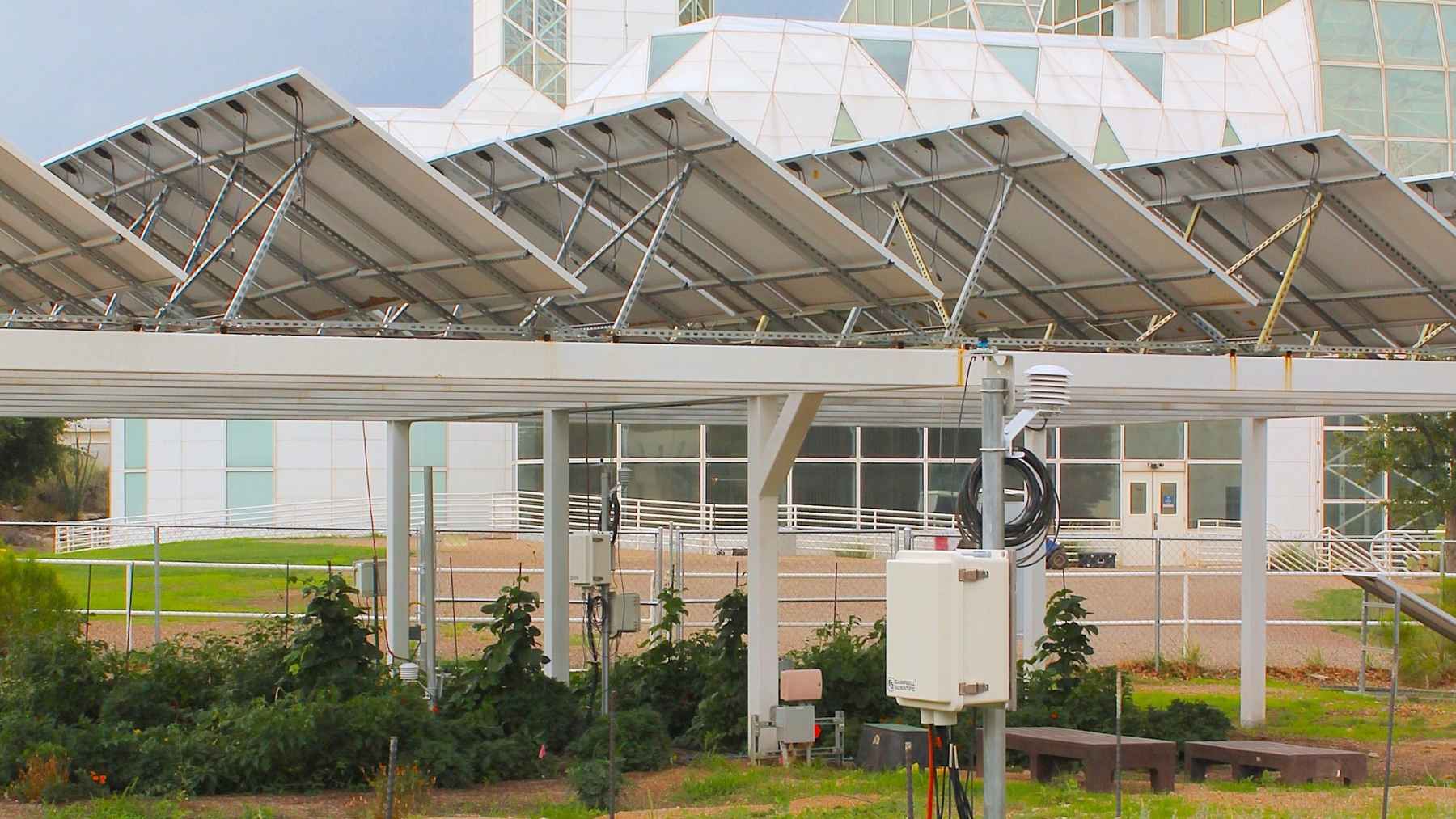 Arizona raised solar panels on stilts over its crops so one acre could grow food and make power at once — then researchers noticed a third job nobody put in the brochure: skin under the panels runs 21 degrees cooler, in a country where crop workers are 20 times more likely to die of heat