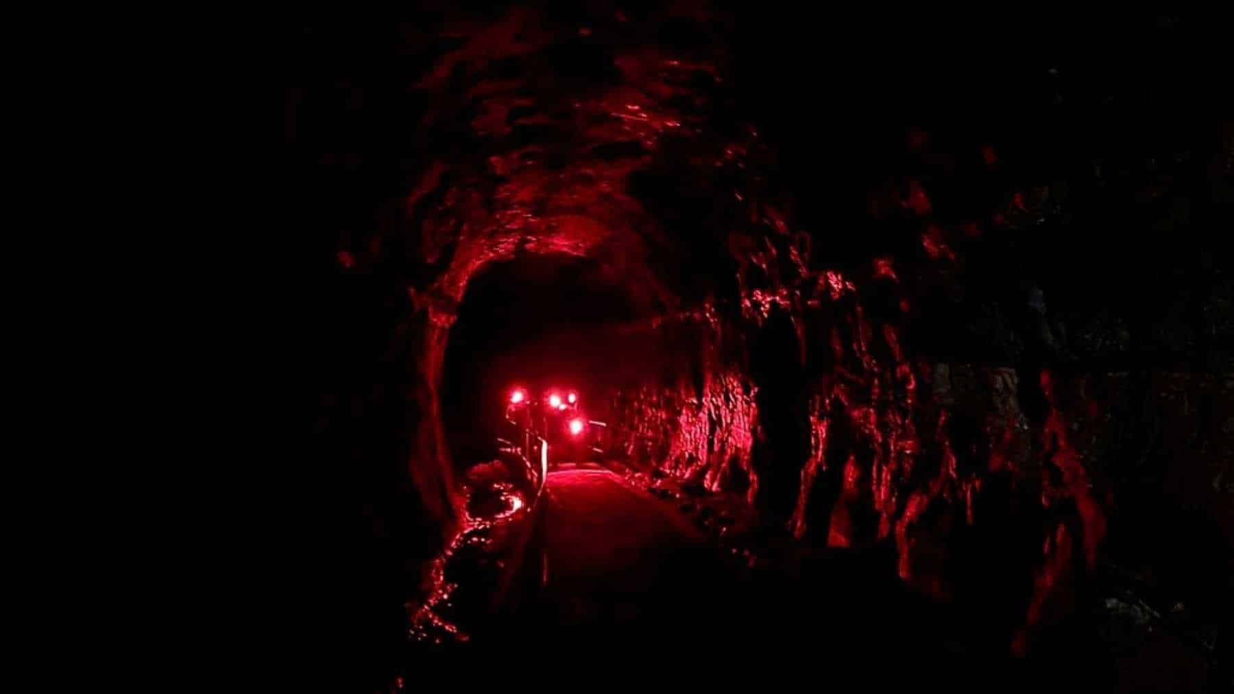 EG / An Australian park crew carried nearly 400 tons of material a kilometer through forest, pushed 30,000 bricks in by wheelbarrow, and laid every one of them in red light, because the tenants of the old railway bore go dark the moment a white beam hits the ceiling.