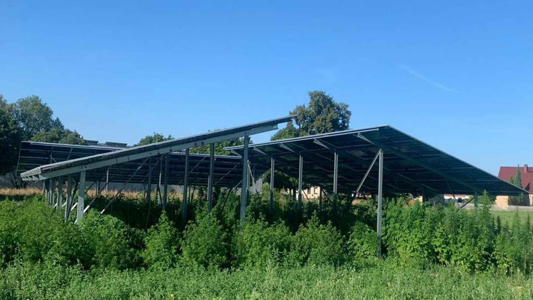 Germany is testing lettuce with no soil under solar panels, hydroponic beds beneath Agri-PV arrays on land the law still has to classify as a farm — month 18 of a three-year project, not a launch, and nobody has said how a crop that never touches dirt clears the 66 percent yield rule