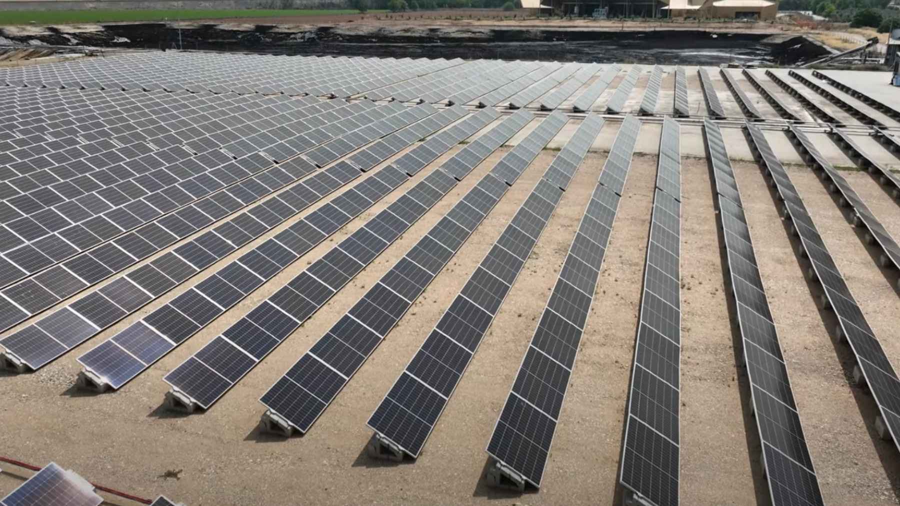 A Spanish olive oil bottler is raising 5,150 solar panels 13 feet over trees that stop growing at six and a half, because the straddle harvester that clamps each trunk and shakes the fruit loose stands 11.5 feet at full stretch, and every tree stays in the ground.
