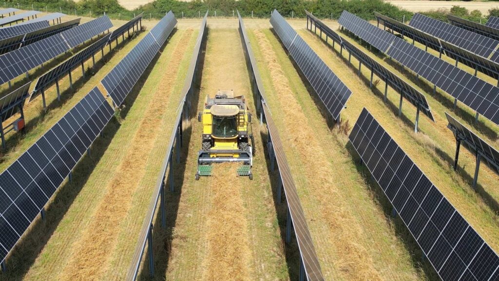Combine harvesting oats between rows of tracking solar panels at a Wattmanufactur agrivoltaic park in northern Germany