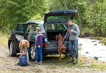 Nuevo Škoda Kodiaq 1.5 TSI Scout 4x4 110kW Nuevo Škoda Kodiaq 1.5 TSI Scout 4x4 110kW