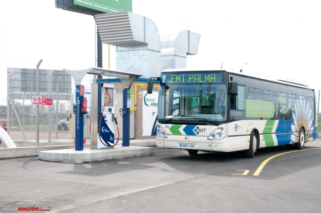 Iveco y Endesa inauguran la primera estación GNC de Palma de Mallorca