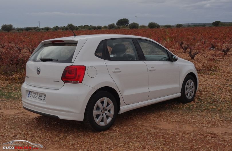 Volkswagen Polo Bluemotion