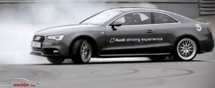 Audi driving experience y sus cursos de asfalto