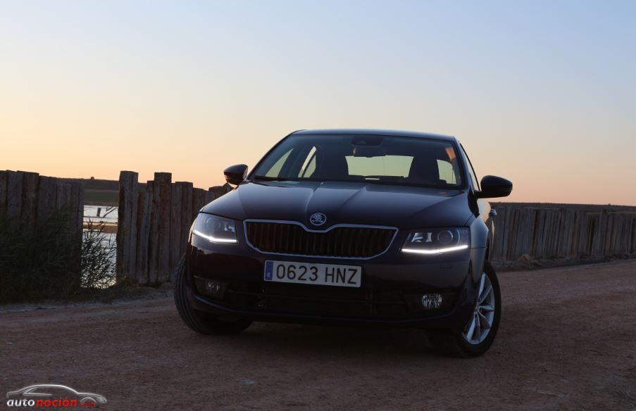 Frontal Skoda Octavia