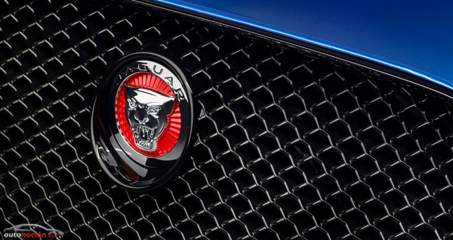 El futuro de Jaguar: Abundancia de modelos entre los que podría no estar el XK