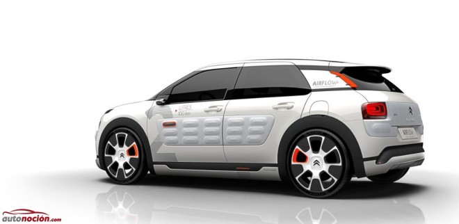 C4 Cactus Airflow 2L