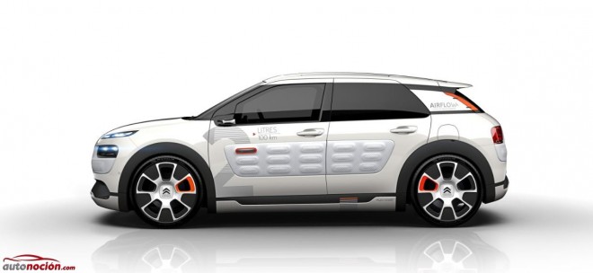 concept C4 Cactus Airflow 2L lateral