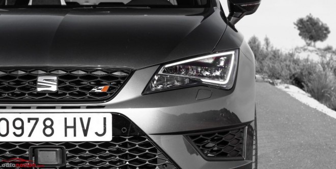 frontal cupra