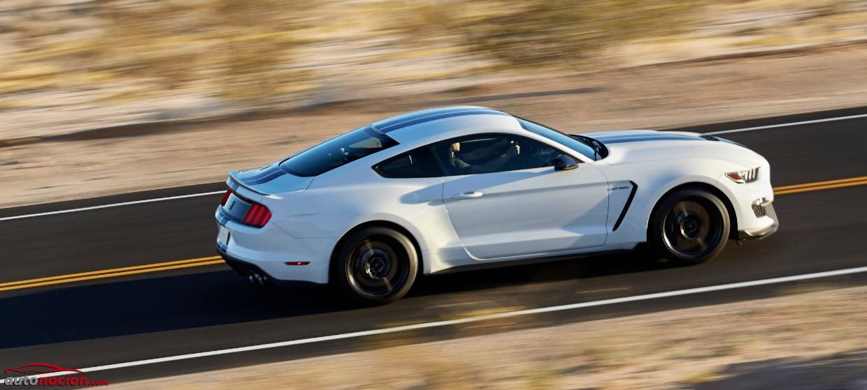 Mustang Shelby GT350