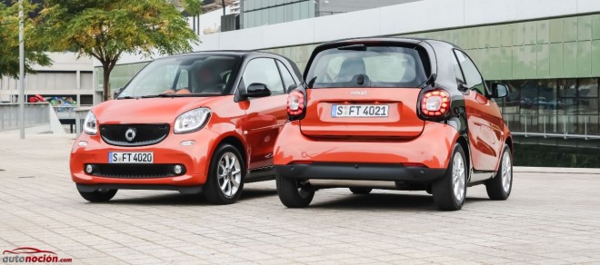 smart fortwo nuevo