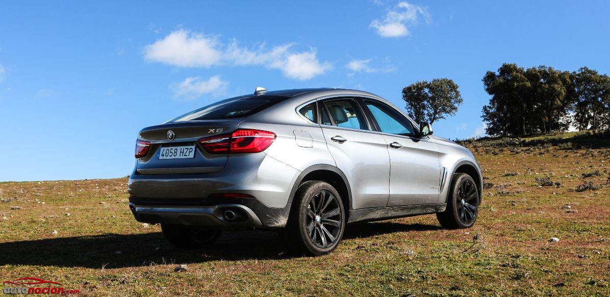 bmw x6 pradera