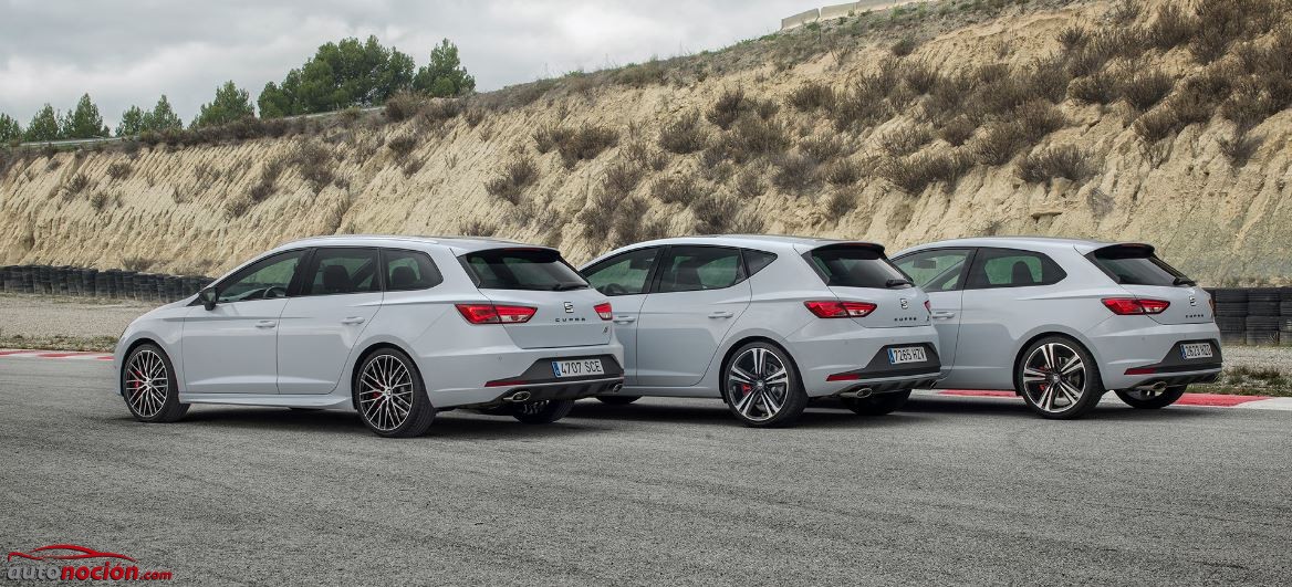 familia cupra leon