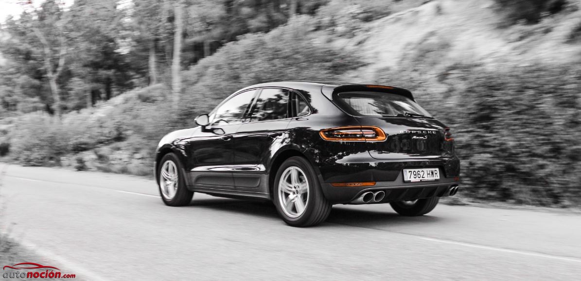 macan blanco y negro