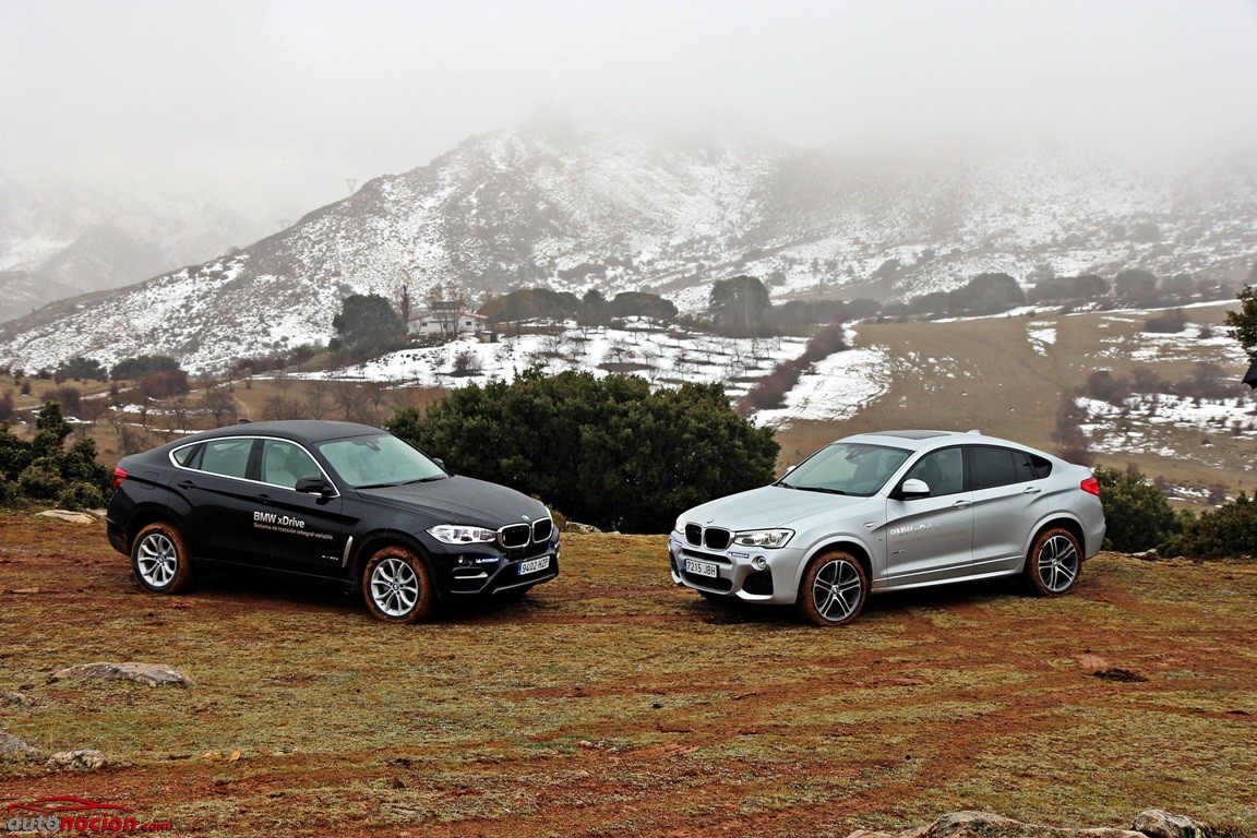 BMW X4-BMW X6 (45)