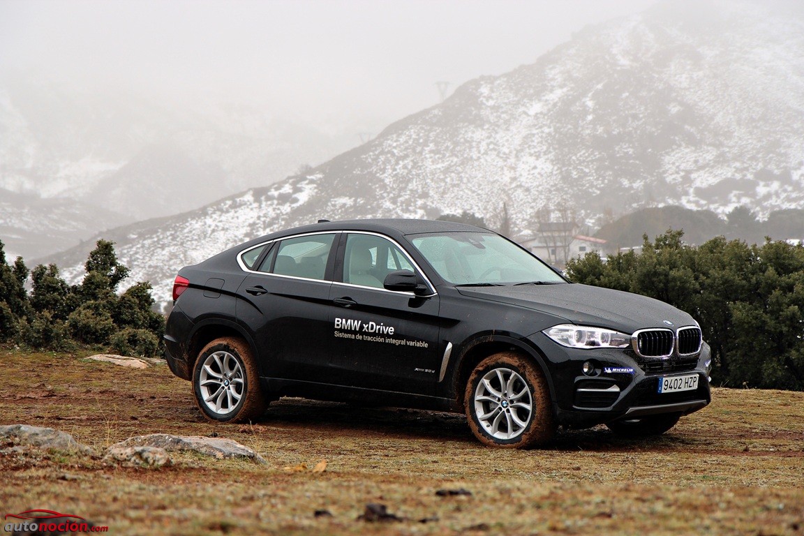 BMW X4-BMW X6 (46)