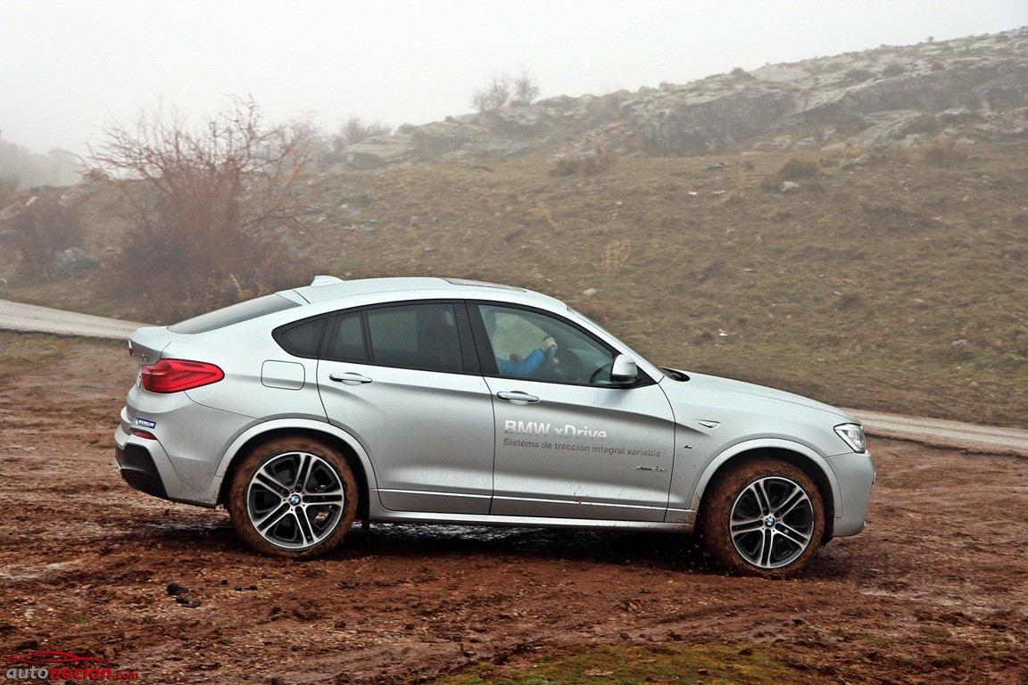 BMW X4-BMW X6 (49)