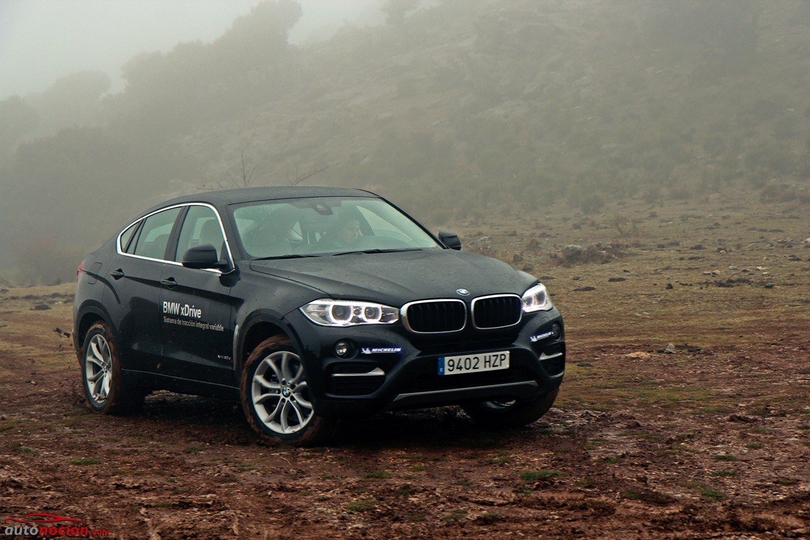 BMW X4-BMW X6 (51)