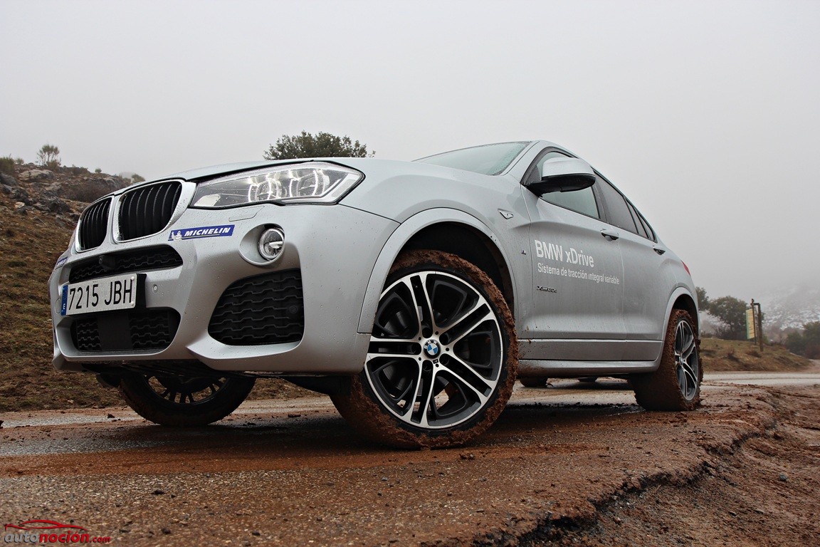 BMW X4-BMW X6 (52)