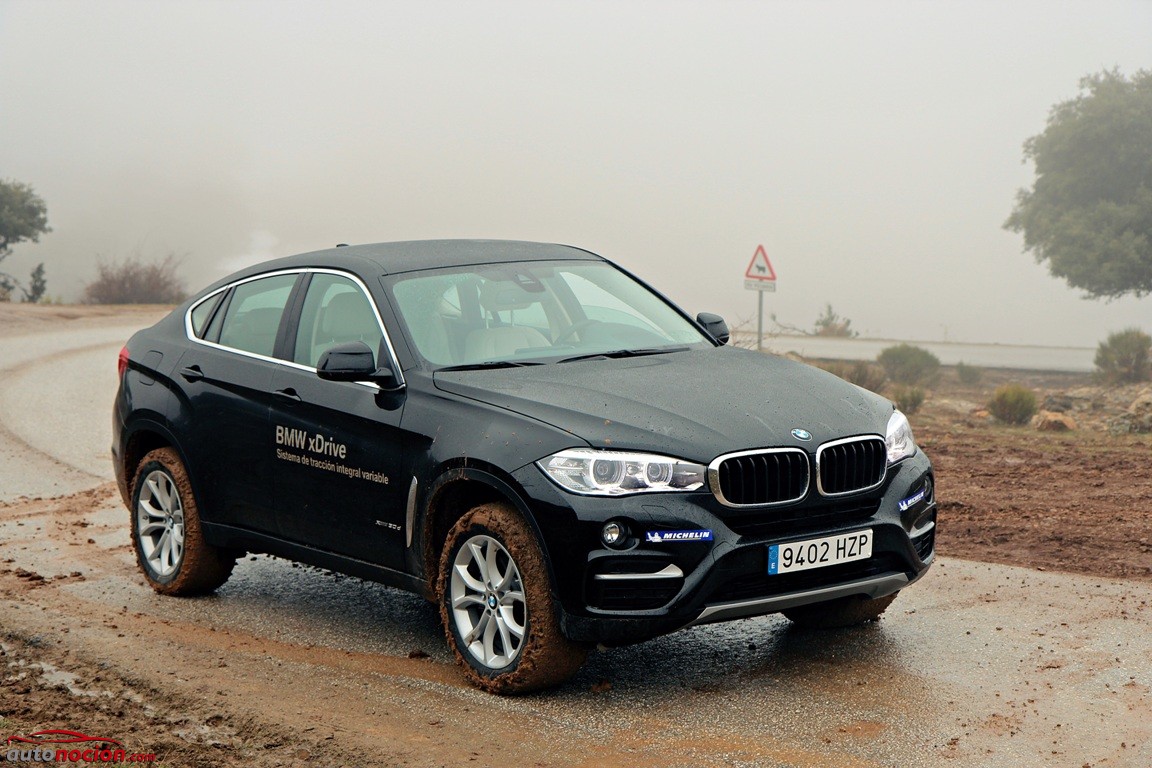 BMW X4-BMW X6 (53)