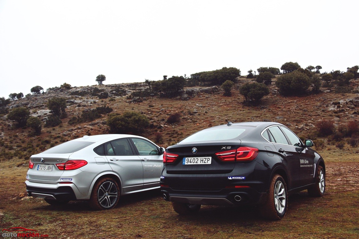 BMW X4-BMW X6 (7)