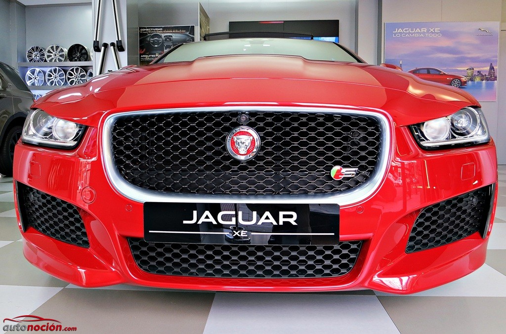 Jaguar XE (10)