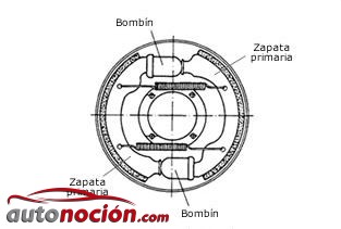 Bombines en un Freno