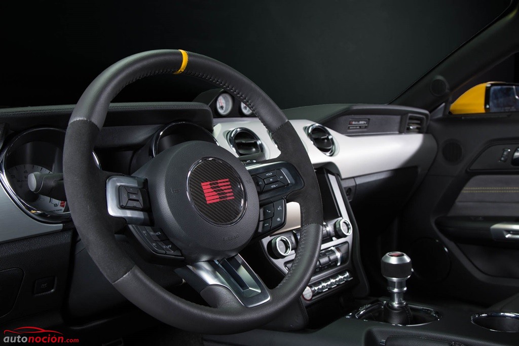 Saleen 302 BlackLabel (22)