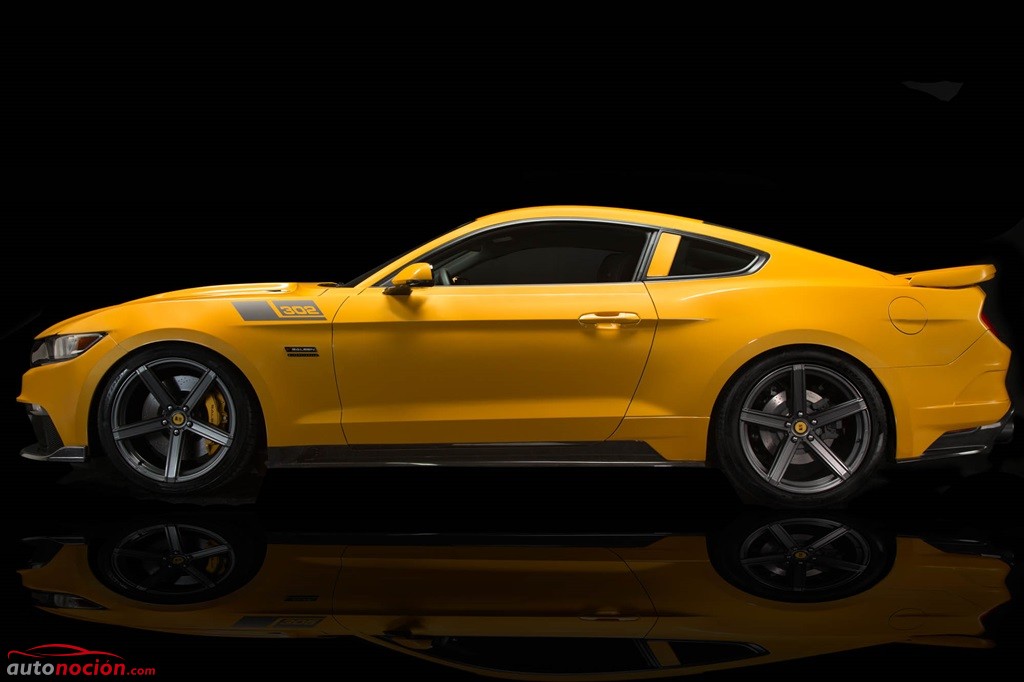 Saleen 302 BlackLabel (5)