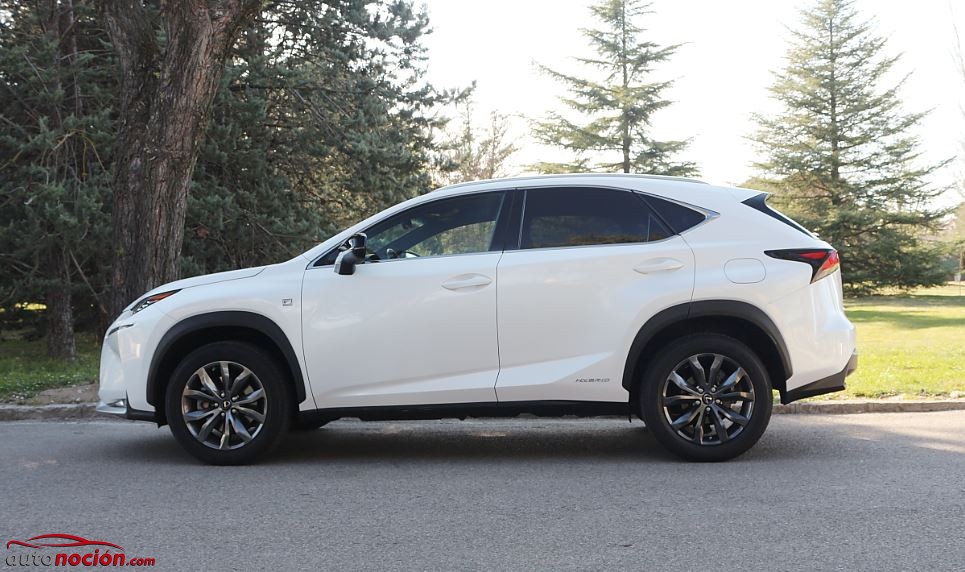 lateral lexus nx