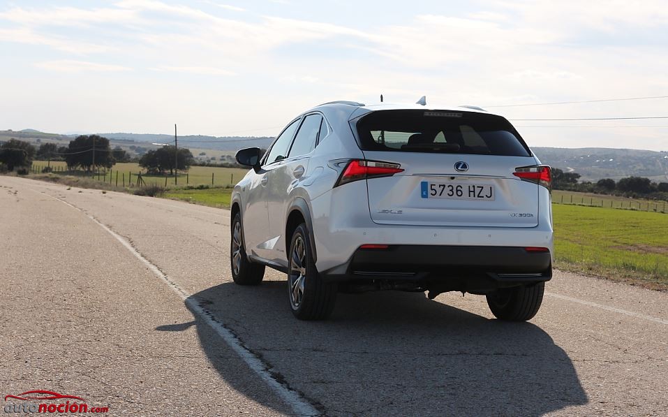 trasera lexus nx carretera 300h