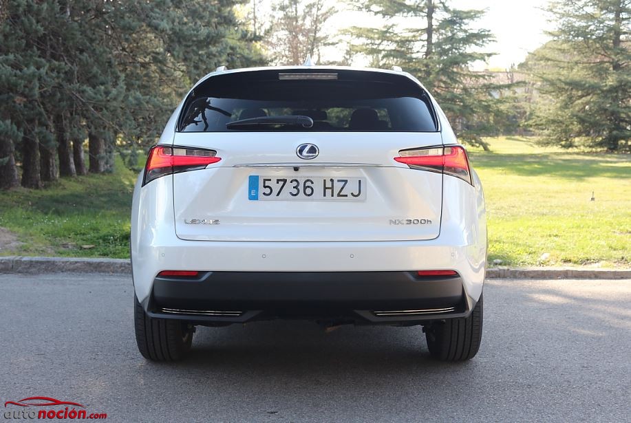 trasera lexus nx