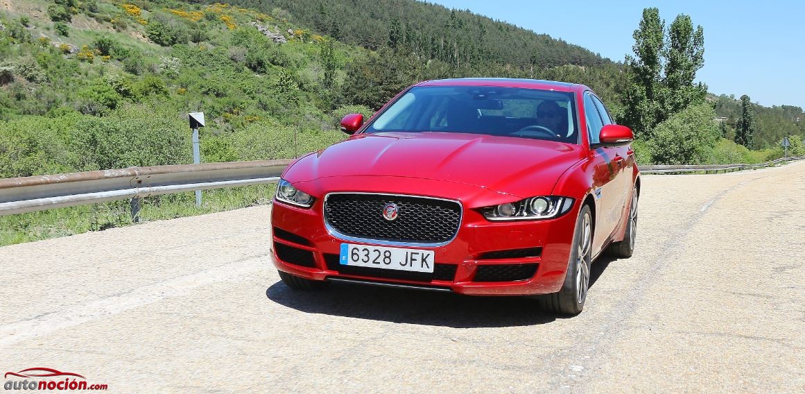 Jaguar XE 91