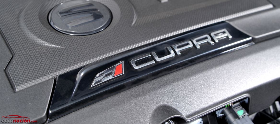 motor cupra