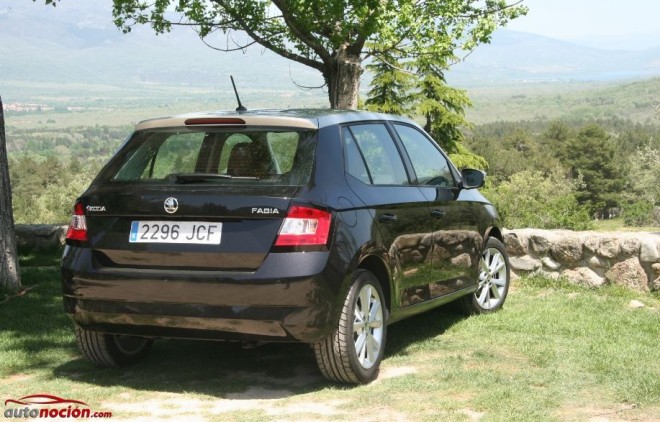 Skoda это vag