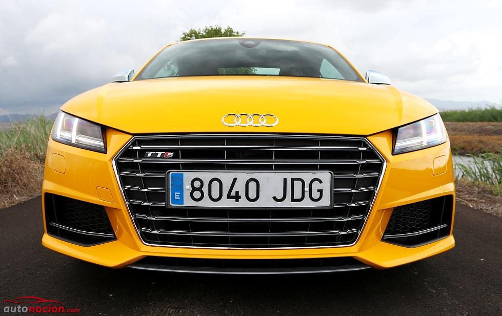 Audi TTS 37