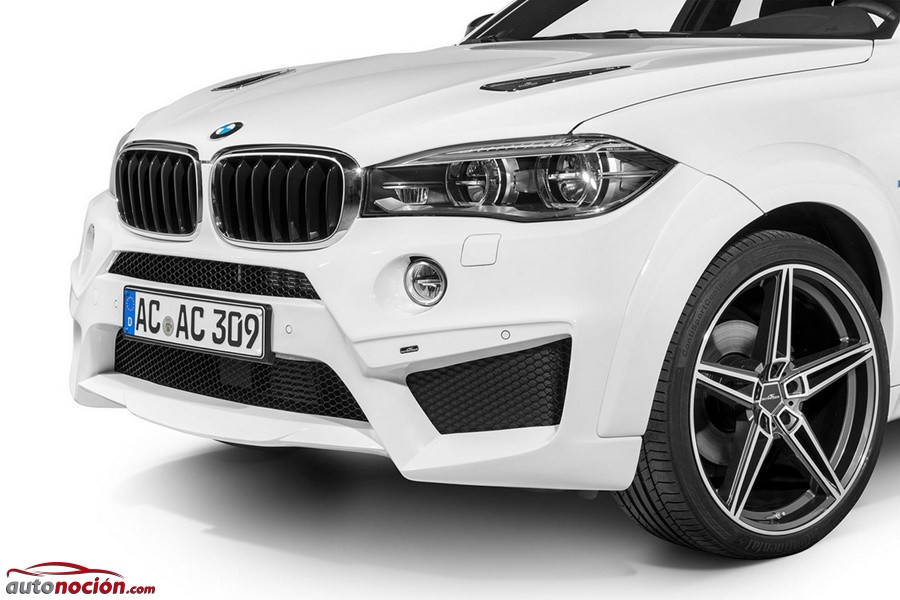 BMW X6 Falcon por AC Schnitzer (7)