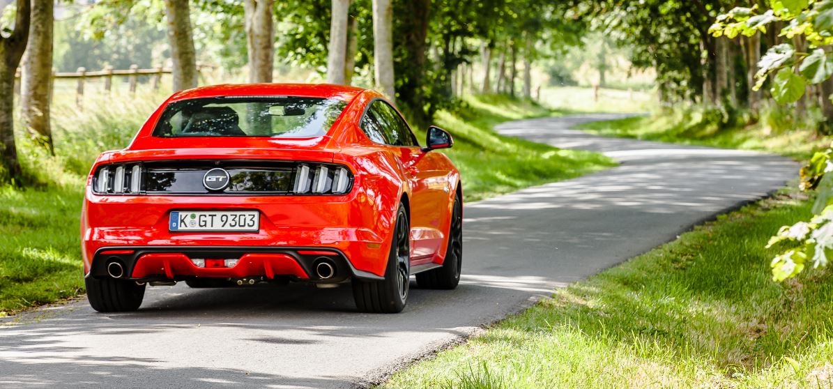 mustang 3