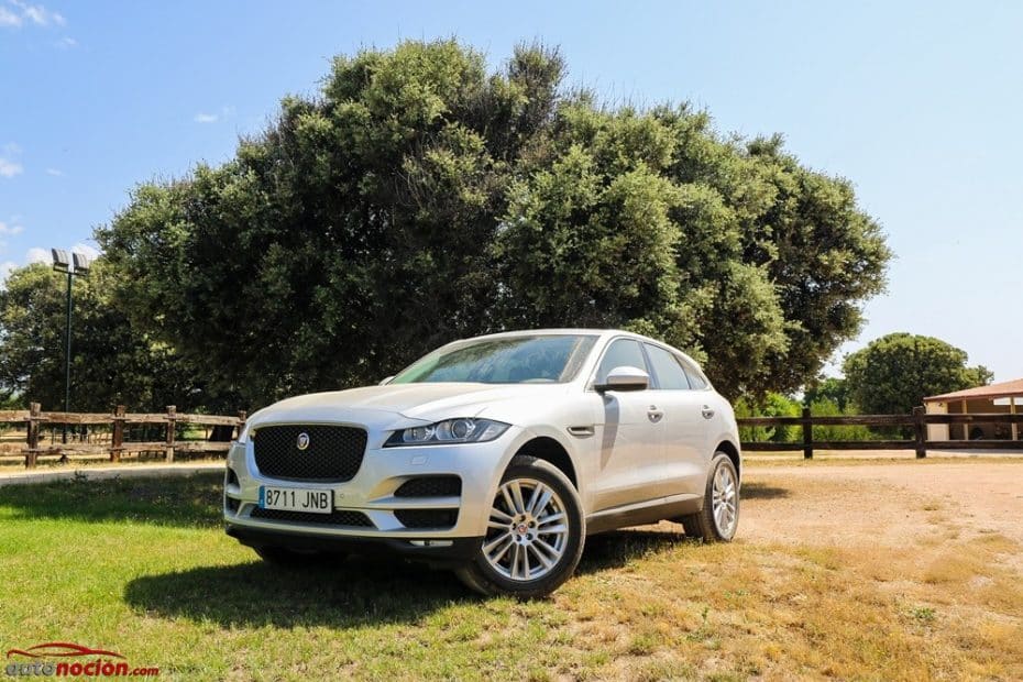 Contacto Jaguar F-Pace 2.0d automático AWD Prestige 180 CV: ¿Es realmente un F-Type en formato crossover?