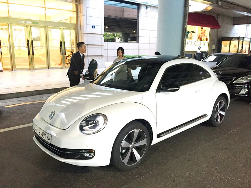 beetle